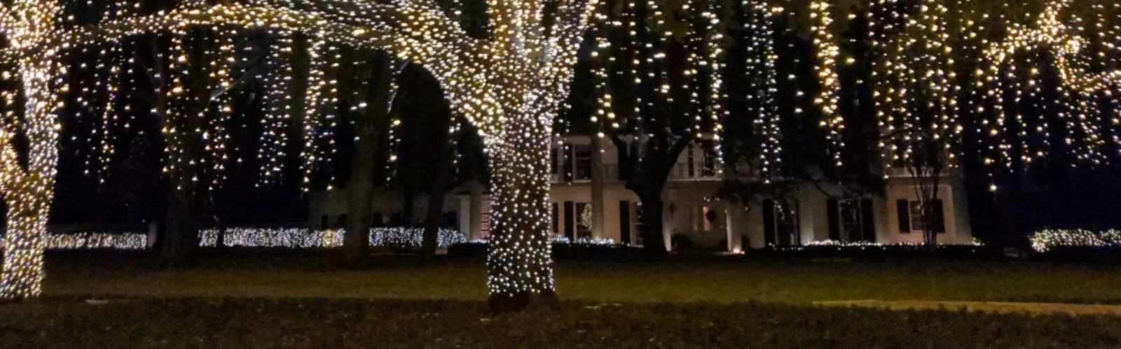 10 Best Christmas and Holiday Attractions in Houston