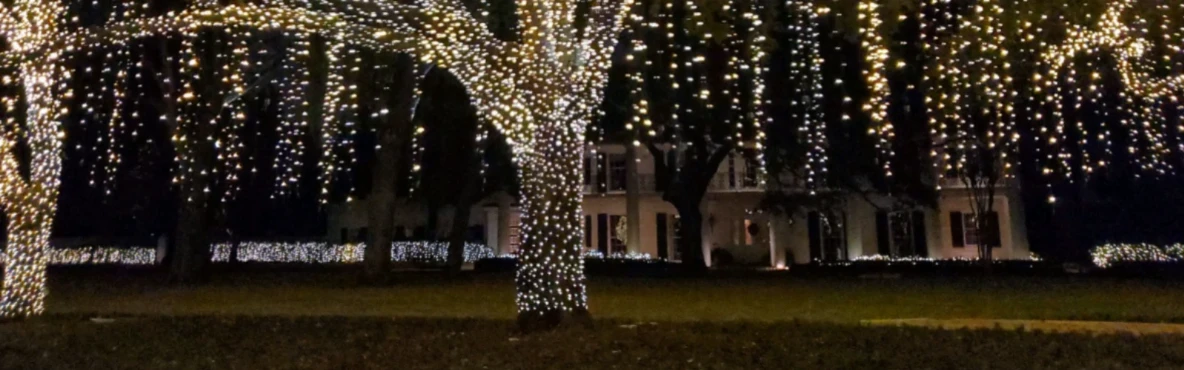 10 Best Christmas and Holiday Attractions in Houston