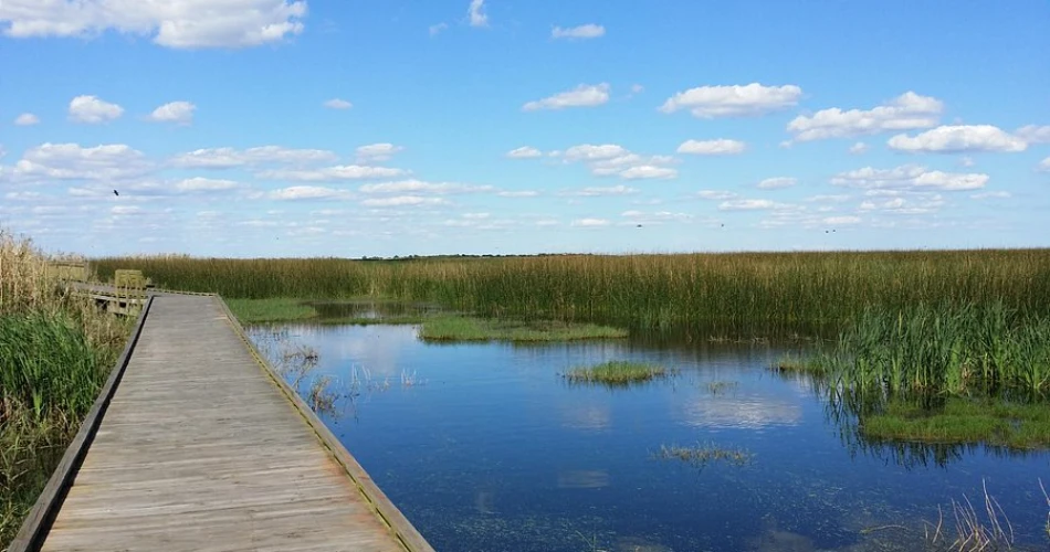 10 Best Parks and Outdoor Places in Houston