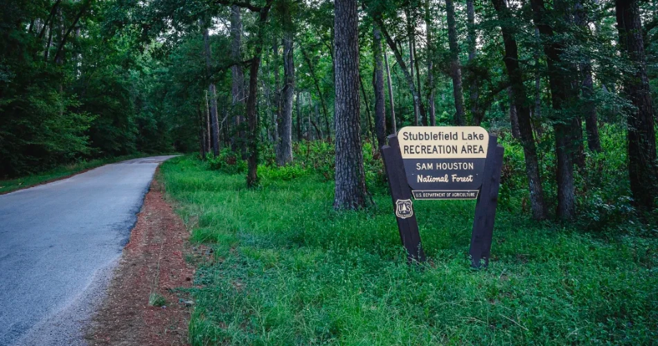 10 Best Parks and Outdoor Places in Houston