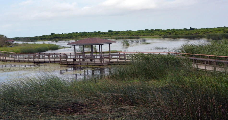 10 Best Parks and Outdoor Places in Houston